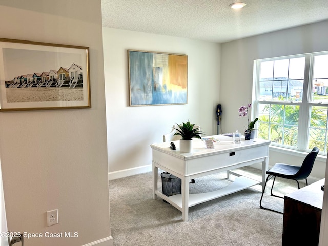 1225 Kylar Dr NE, Palm Bay, FL 32907 - office area featuring carpet flooring and a textured ceiling
