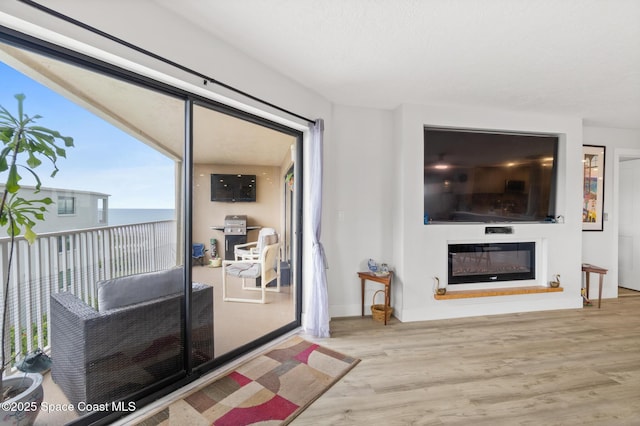 1525 S Atlantic Ave Unit 401, Cocoa Beach, FL 32931 - living room with wood finished floors and a glass covered fireplace