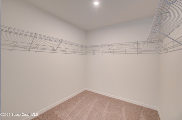 3265 Viridian Cir, West Melbourne, FL 32904 - spacious closet featuring light colored carpet
