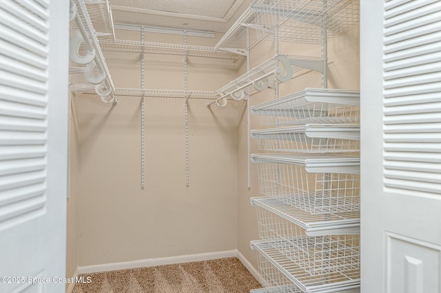 386 Myrtlewood Rd, Melbourne, FL 32940 - spacious closet with carpet floors