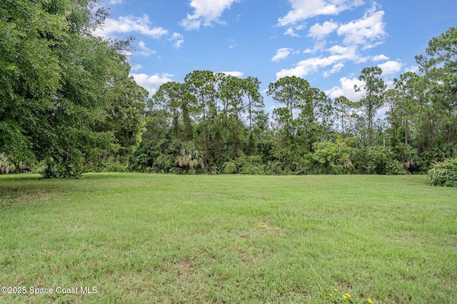 386 Myrtlewood Rd, Melbourne, FL 32940 - view of grassy yard featuring a view of trees