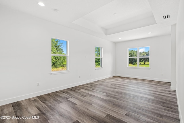 278 Stallion St, Palm Bay, FL 32909 - spare room featuring recessed lighting, wood finished floors, and a tray ceiling