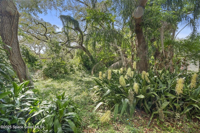 102 S Christmas Hill Rd, Titusville, FL 32796 - photo 25
