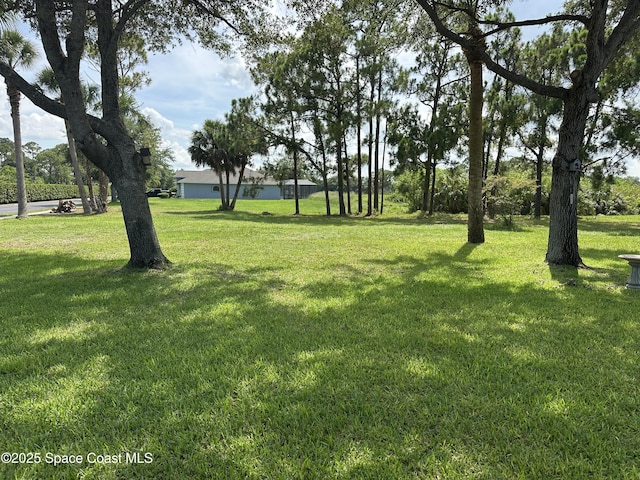1796 Windbrook Dr SE, Palm Bay, FL 32909 - view of green lawn