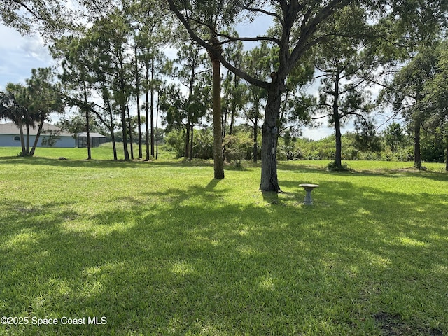 1796 Windbrook Dr SE, Palm Bay, FL 32909 - view of green lawn
