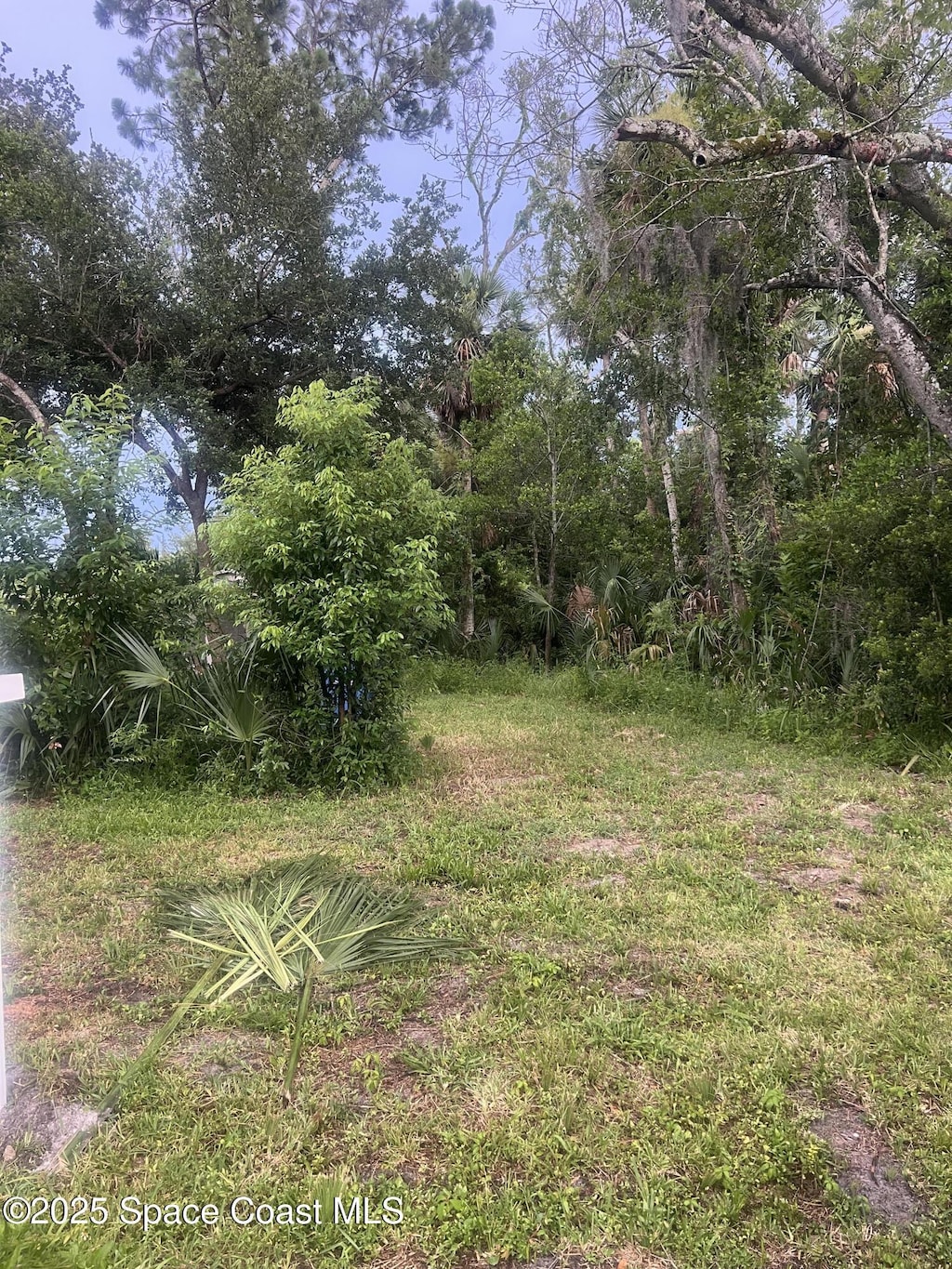1723 B Ave, Ormond Beach, FL 32174 - photo 1