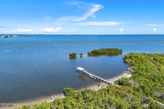 3120 S Courtenay Pkwy, Merritt Island, FL 32952 - photo 103