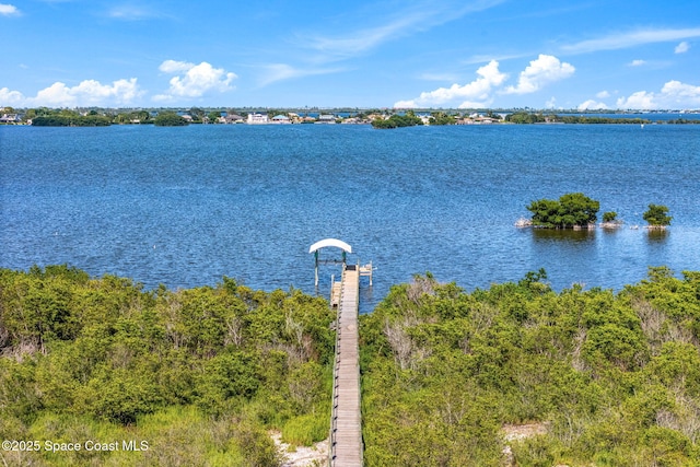 3120 S Courtenay Pkwy, Merritt Island, FL 32952 - photo 104
