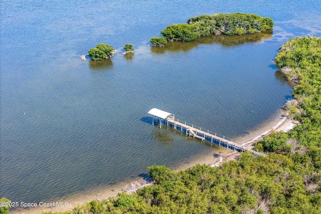 3120 S Courtenay Pkwy, Merritt Island, FL 32952 - photo 3