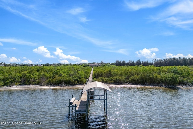 3120 S Courtenay Pkwy, Merritt Island, FL 32952 - photo 102