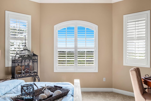 3120 S Courtenay Pkwy, Merritt Island, FL 32952 - photo 45