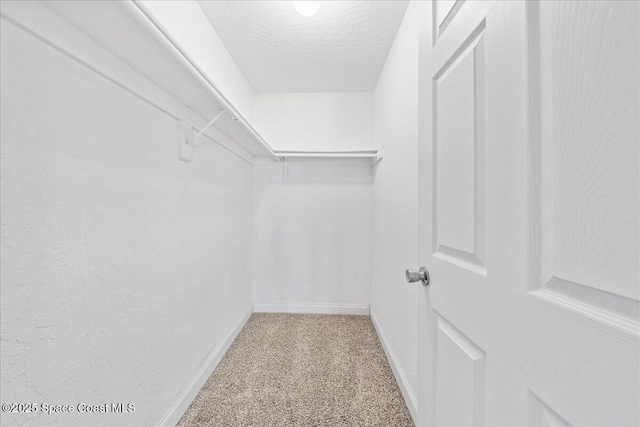 2190 Forest Knoll Dr NE Unit 90-104, Palm Bay, FL 32905 - spacious closet with carpet
