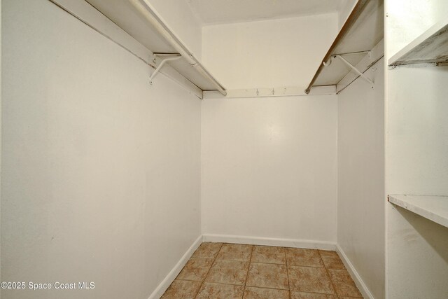 765 Palm Dr, Satellite Beach, FL 32937 - view of walk in closet