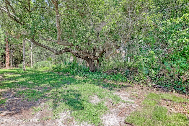 781 Bremerhaven St NW, Palm Bay, FL 32907 - photo 50
