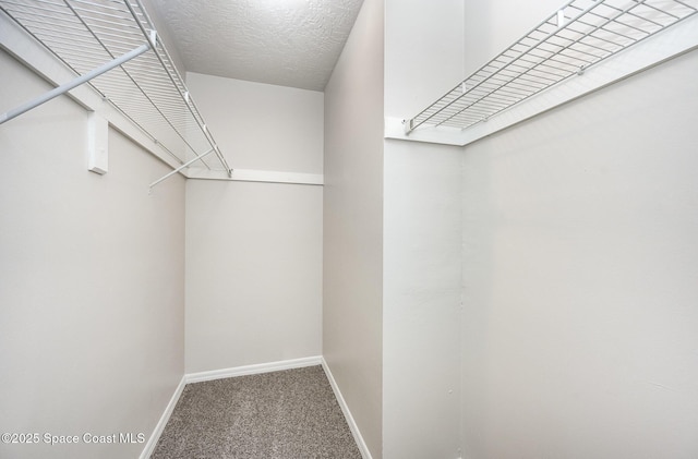 2914 Kosuth Rd NE, Palm Bay, FL 32905 - photo 25