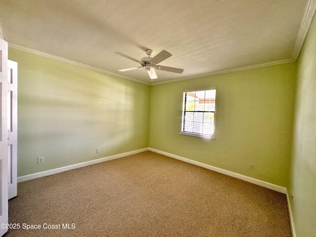 658 Ervin St, Sebastian, FL 32958 - spare room with ornamental molding, ceiling fan, carpet, and a textured ceiling