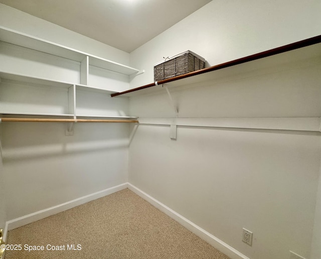 658 Ervin St, Sebastian, FL 32958 - walk in closet with carpet flooring