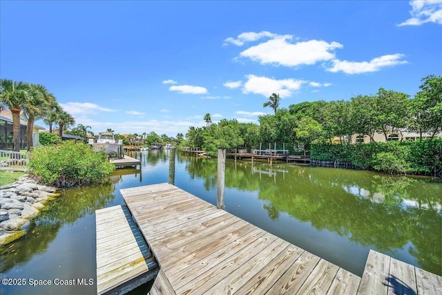 489 Lanternback Island Dr, Satellite Beach, FL 32937 - photo 58