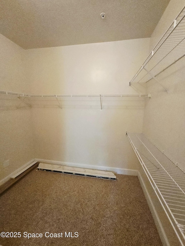 6470 Borasco Dr Unit 2102, Melbourne, FL 32940 - spacious closet with carpet flooring