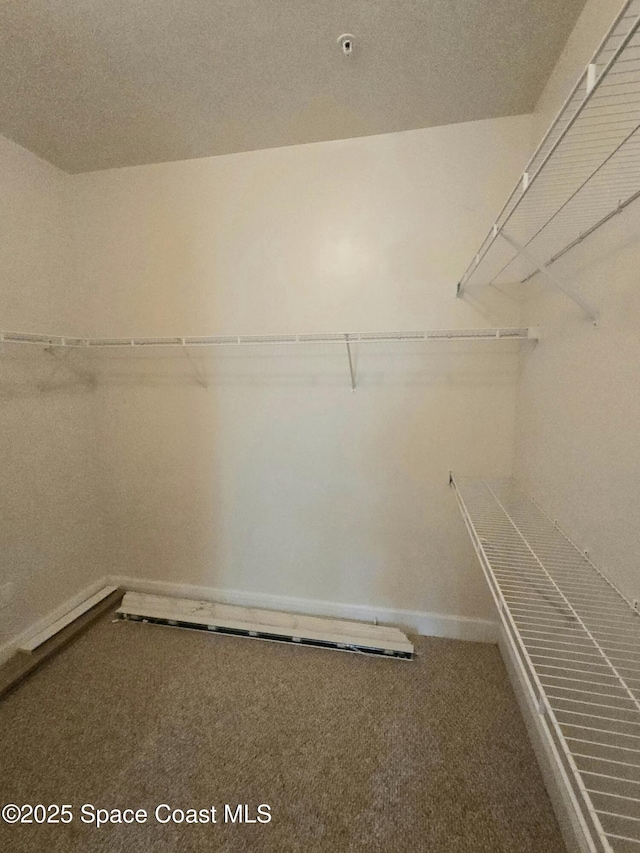 6470 Borasco Dr Unit 2102, Melbourne, FL 32940 - walk in closet with carpet floors