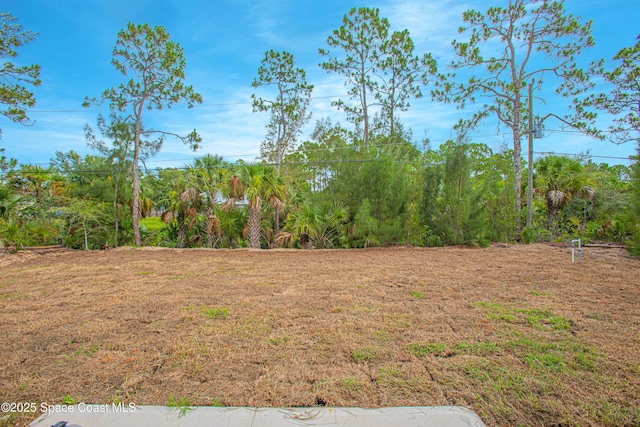 475 La Coco St SW, Palm Bay, FL 32908 - photo 26