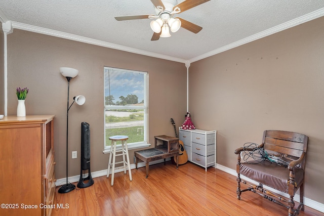 507 Giovanni Rd NW, Palm Bay, FL 32907 - photo 20