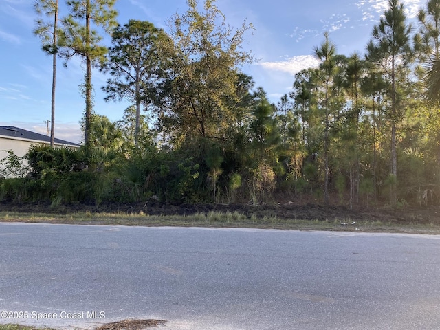 458 Tobias St, Palm Bay, FL 32909 - photo 2