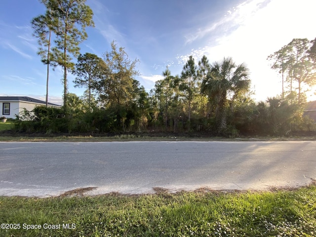 458 Tobias St, Palm Bay, FL 32909 - photo 1