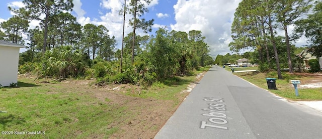 458 Tobias St, Palm Bay, FL 32909 - photo 4