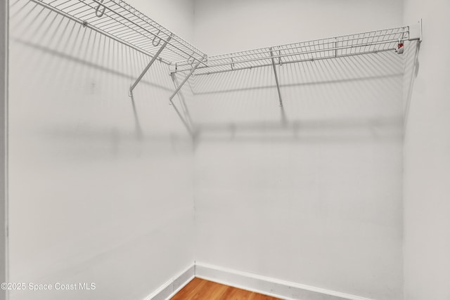 2559 Christopher Dr, Titusville, FL 32780 - spacious closet with wood finished floors