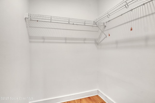 2559 Christopher Dr, Titusville, FL 32780 - walk in closet featuring light wood-style floors