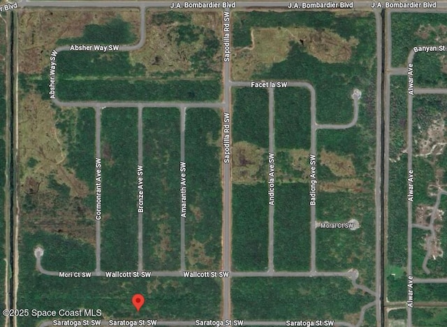 1043 Saratoga St SW, Palm Bay, FL 32908 - photo 5