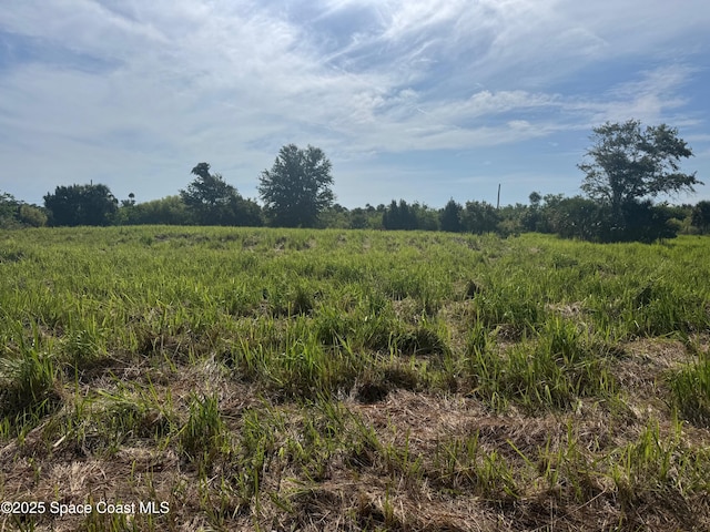 3852 Serenity Ln, Mims, FL 32754 - photo 3
