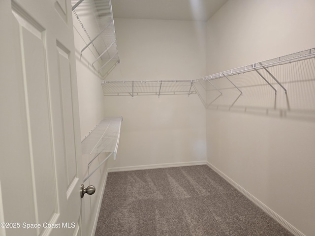 261 Consolata Ave NW, Palm Bay, FL 32907 - photo 21