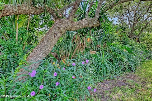 275 Camino Pl, Melbourne Beach, FL 32951 - photo 43