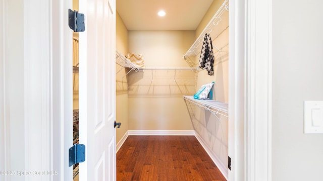 2683 Amati Dr, Kissimmee, FL 34741 - spacious closet with dark wood-style floors