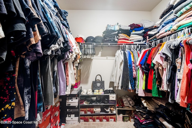 820 Old Country Rd SE, Palm Bay, FL 32909 - walk in closet featuring carpet flooring