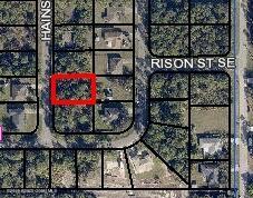 3291 Hainsworth Ave SE, Palm Bay, FL 32909 - photo 1