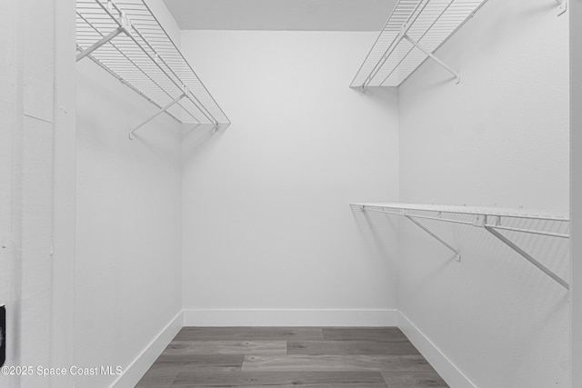 4890 Yew Ct, Titusville, FL 32796 - spacious closet featuring wood finished floors