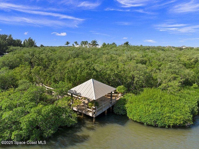 9250 W Marsh Island Dr, Vero Beach, FL 32963 - photo 42