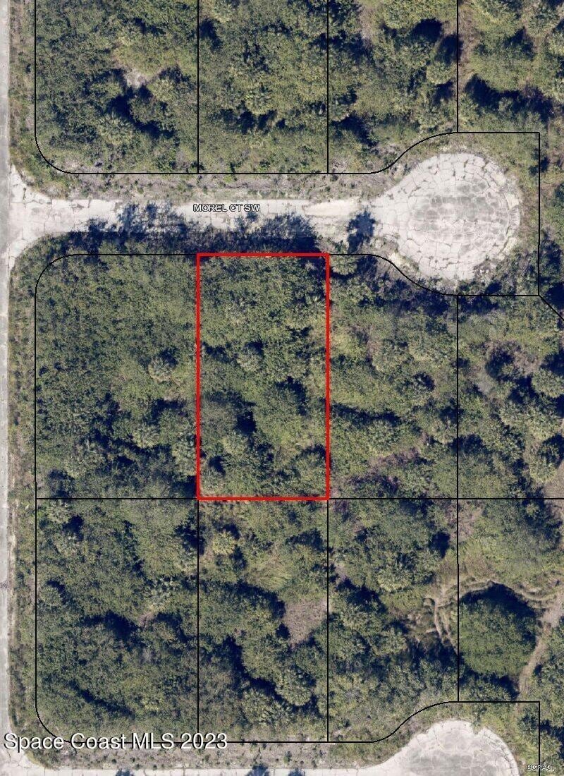 972 Morel Ct SW, Palm Bay, FL 32908 - photo 1