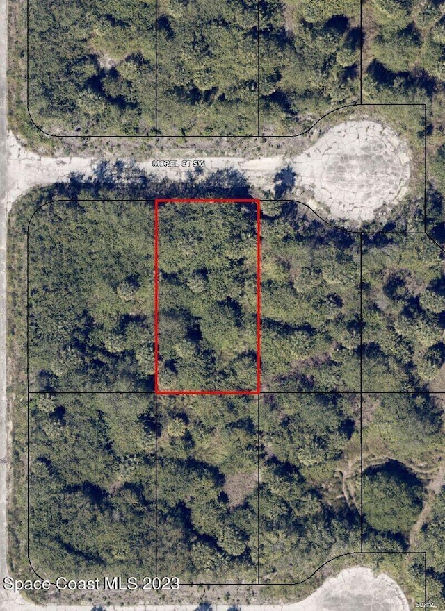 972 Morel Ct SW, Palm Bay, FL 32908 - photo 1