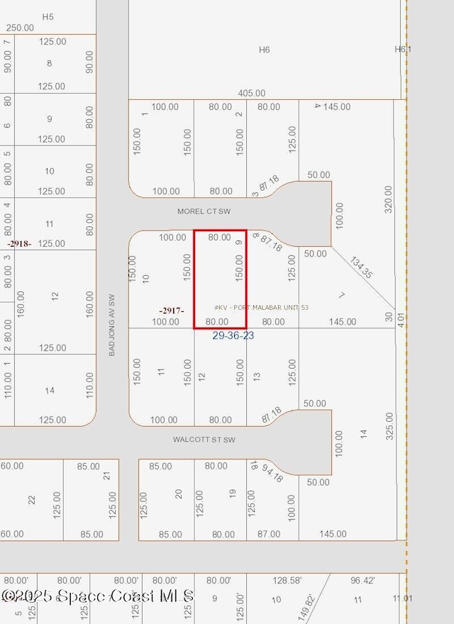972 Morel Ct SW, Palm Bay, FL 32908 - photo 2