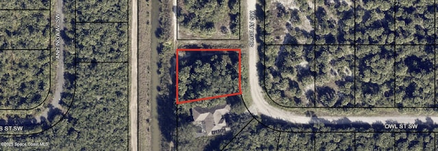 3382 Sage Ave SW, Palm Bay, FL 32908 - photo 1