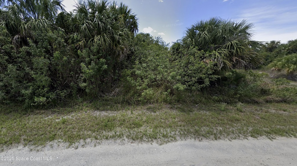 3382 Sage Ave SW, Palm Bay, FL 32908 - photo 3