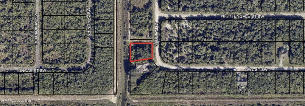 3382 Sage Ave SW, Palm Bay, FL 32908 - photo 4