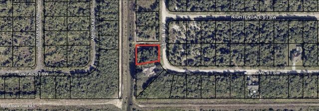 3382 Sage Ave SW, Palm Bay, FL 32908 - photo 4