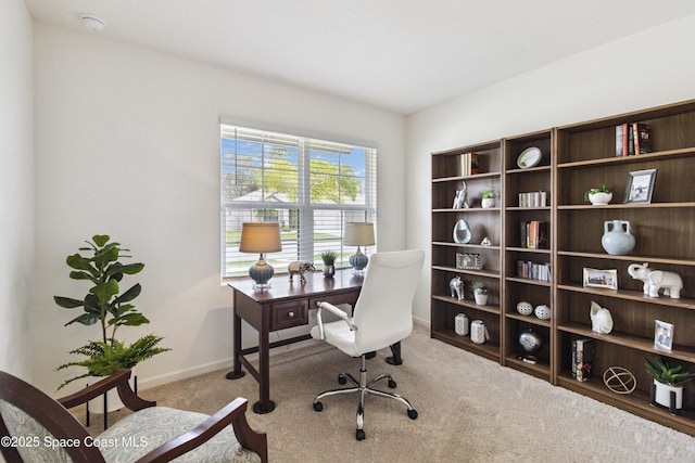 1669 Mineral Loop Dr NW, Palm Bay, FL 32907 - office with carpet flooring and baseboards