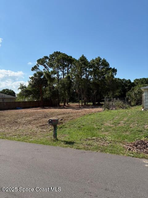 799 Altamira St NW, Palm Bay, FL 32907 - photo 3