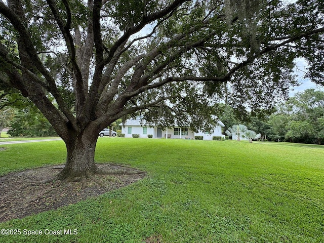 3340 Weber Rd, Malabar, FL 32950 - view of grassy yard